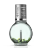 The Garden of Colour aliejukas migdolų kvapo 11.5ml